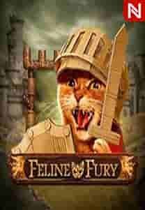 Feline Fury