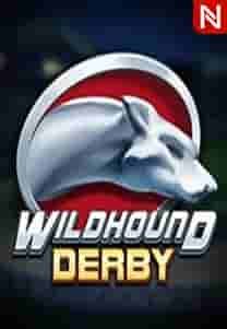 Wildhound Derby